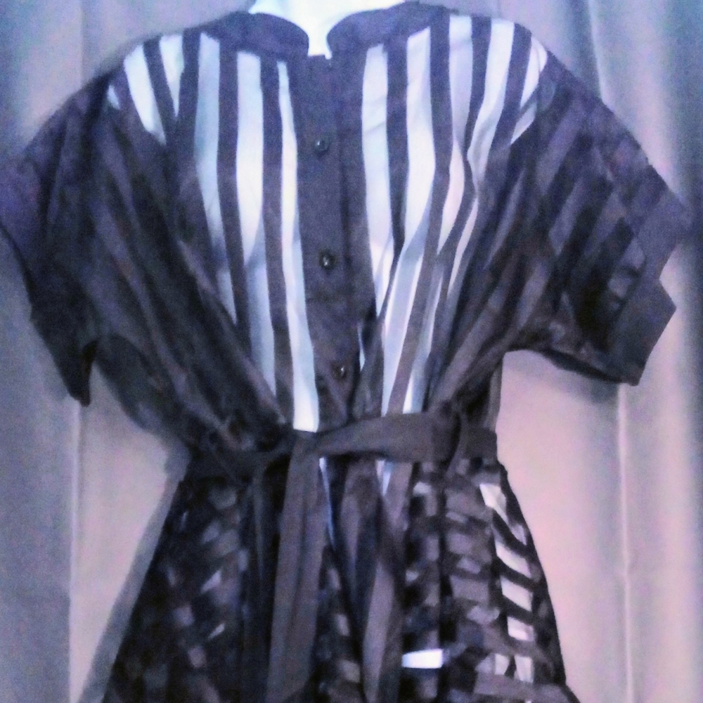 (New) Black Sheer Top,  Silk with Belt